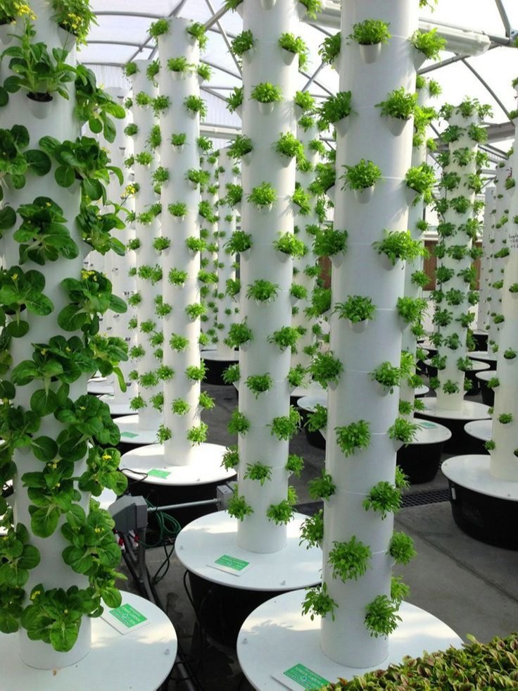About Hydroponic Farming
